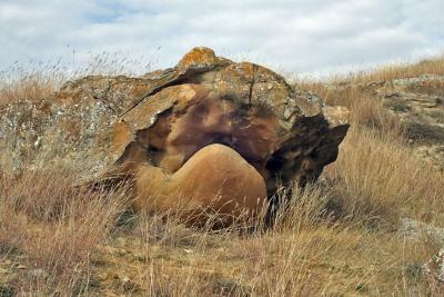 Прикрепленное изображение: PA232600_web.jpg